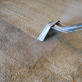 Carpet Cleaning